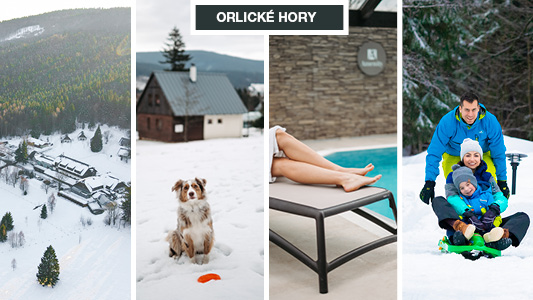 Newsletter hoste 10-2024_533x300_2