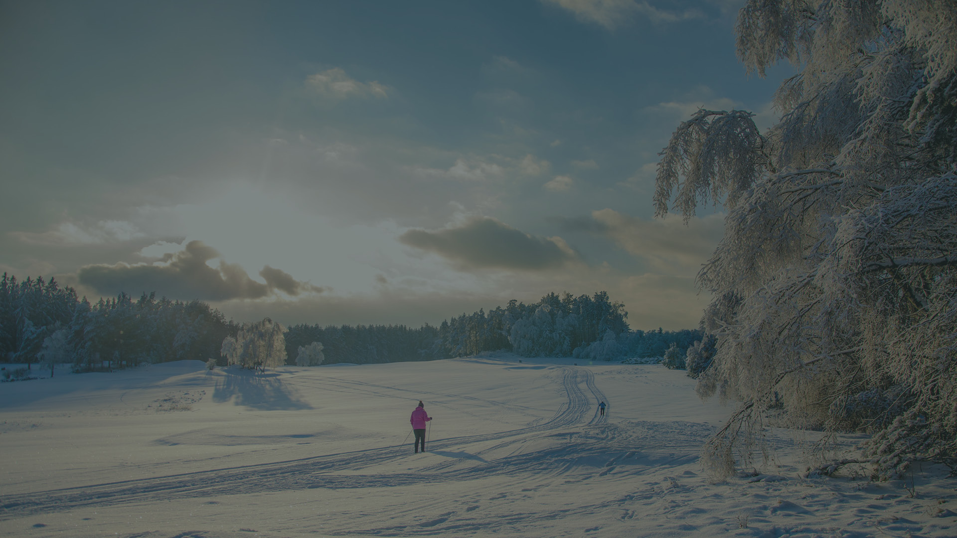 bezecke trasy ceska kanada amenity