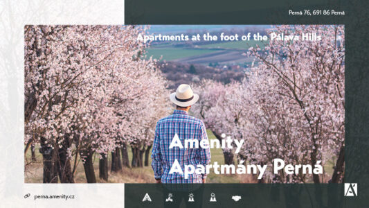 for-companies-activities-4-2025_Amenity-Perna