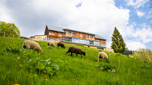 svatby_amenity-resorts_533x300_