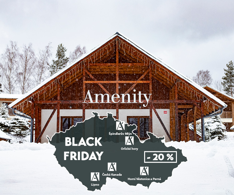 black-friday-amenity_750x625_a