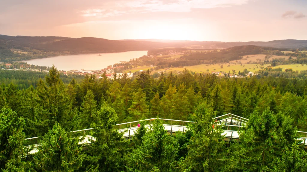 Stezka korunami stromů Lipno nad Vltavou