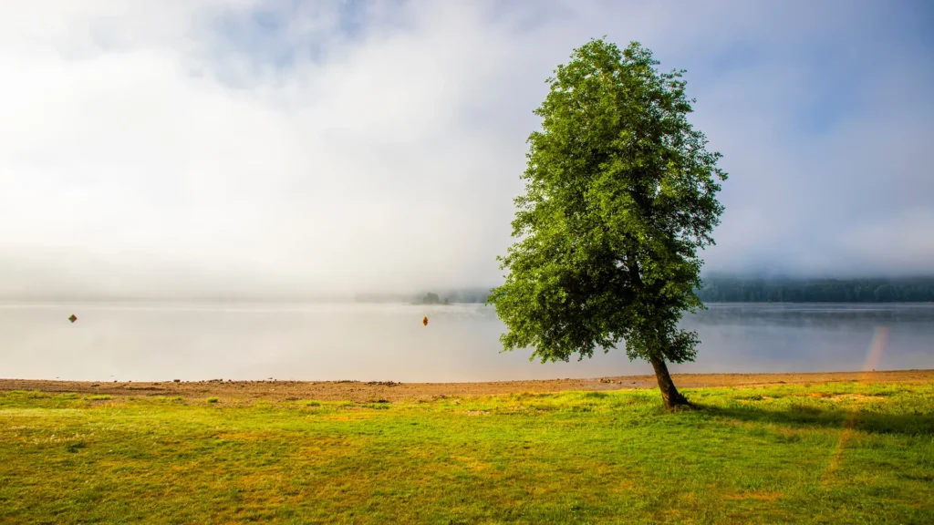 Výhod slunce Lipno